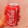 hide a beer Can Cover Bottle Sleeve Case Cola Cup Cover Bottle Holder Thermal Bag Camping Travel Hiking Accessory 355ml - Image 4