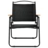 Camping Chairs 2 pcs Black 21.3"x21.7"x30.7" Oxford Fabric - Image 4